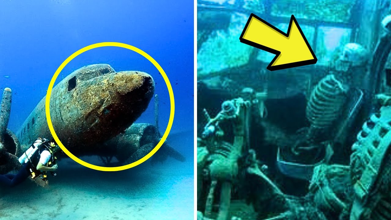 Divers Spot Sunken Plane In The Ocean - They Turn Pale After Swimming Inside - YouTube